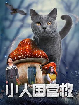 成年人看的黄色录像